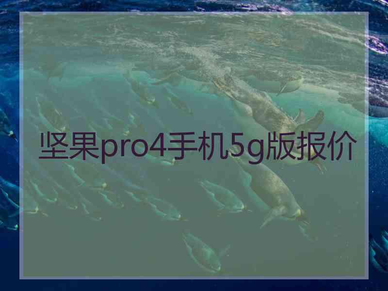 坚果pro4手机5g版报价