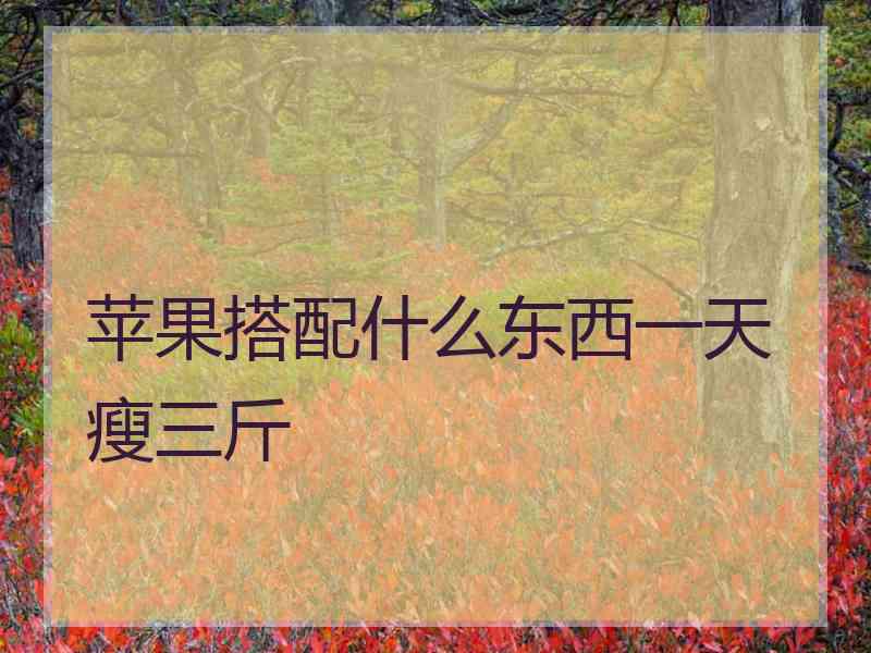 苹果搭配什么东西一天瘦三斤