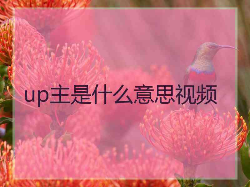 up主是什么意思视频