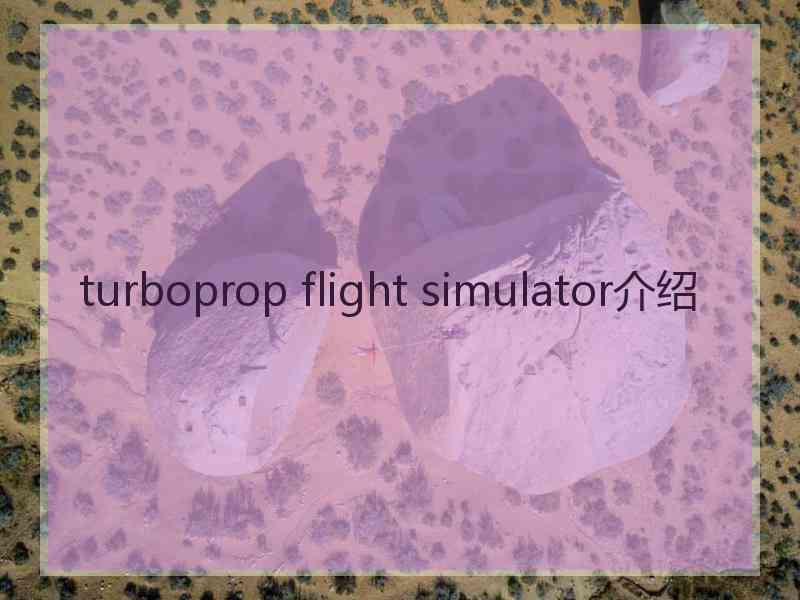 turboprop flight simulator介绍