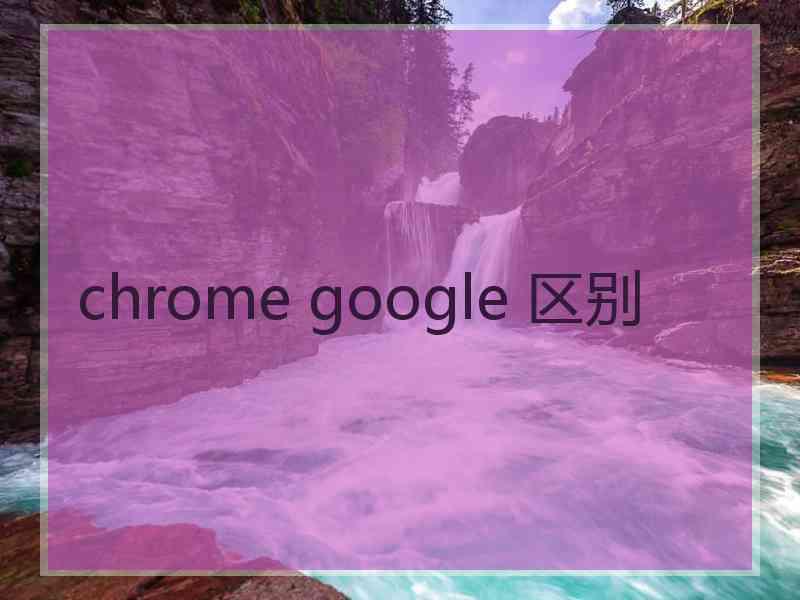 chrome google 区别