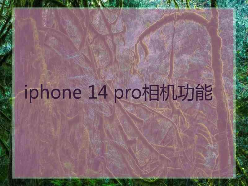 iphone 14 pro相机功能