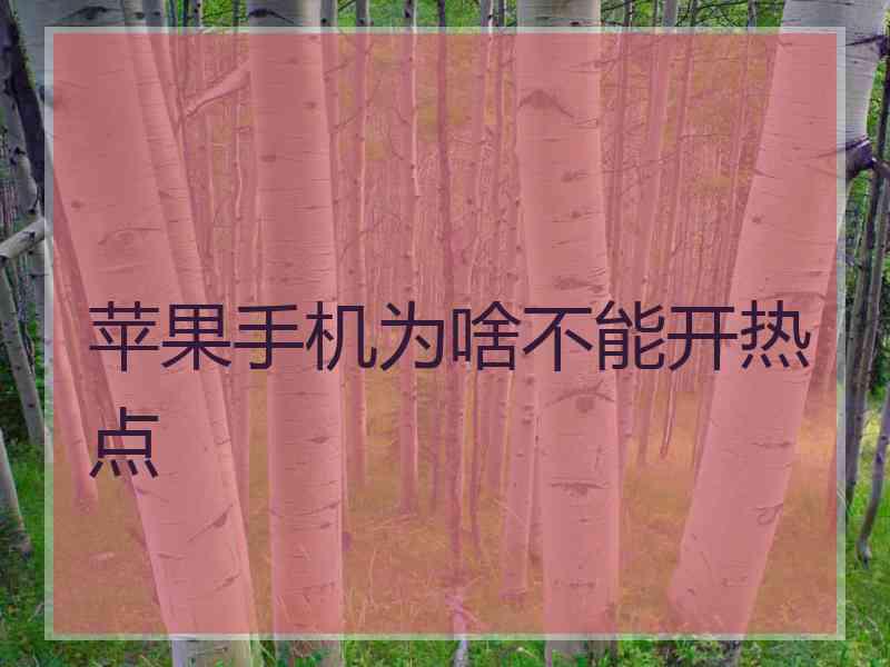 苹果手机为啥不能开热点