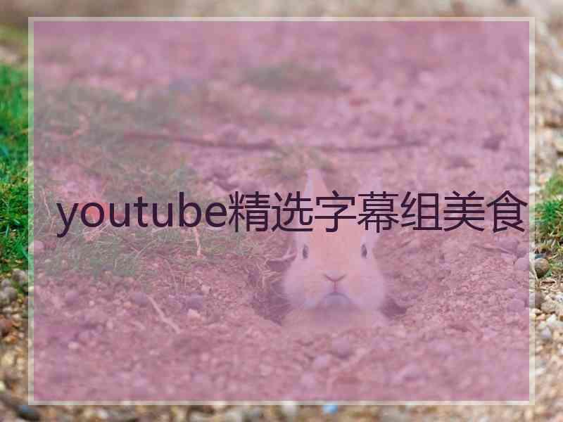 youtube精选字幕组美食