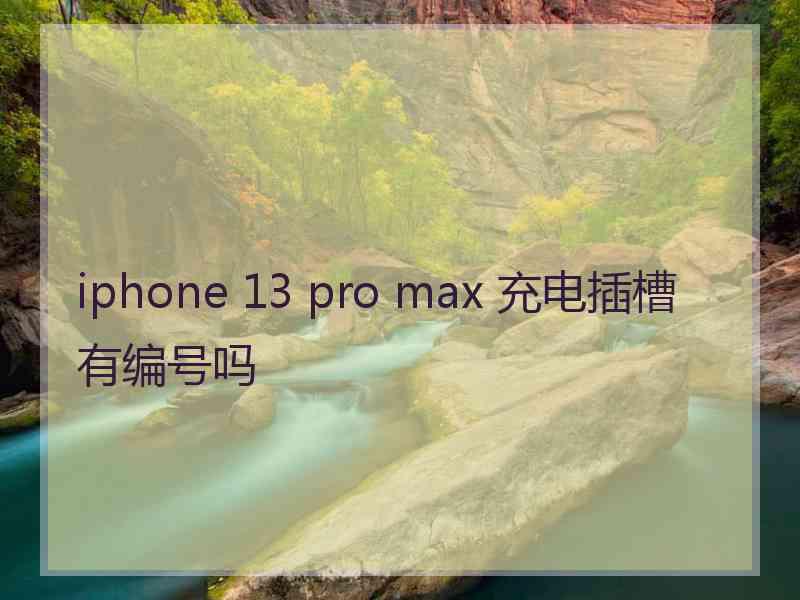 iphone 13 pro max 充电插槽有编号吗