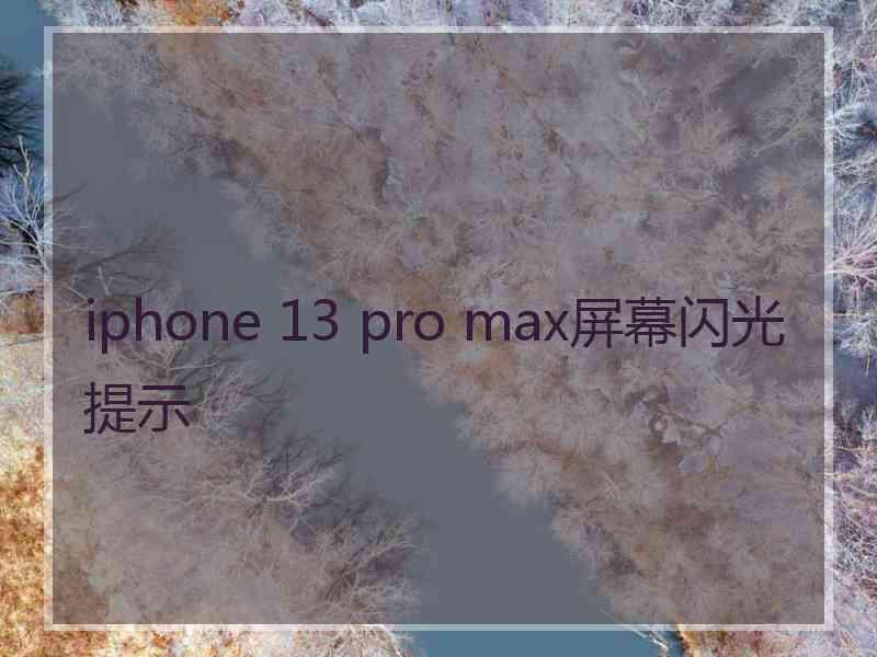 iphone 13 pro max屏幕闪光提示