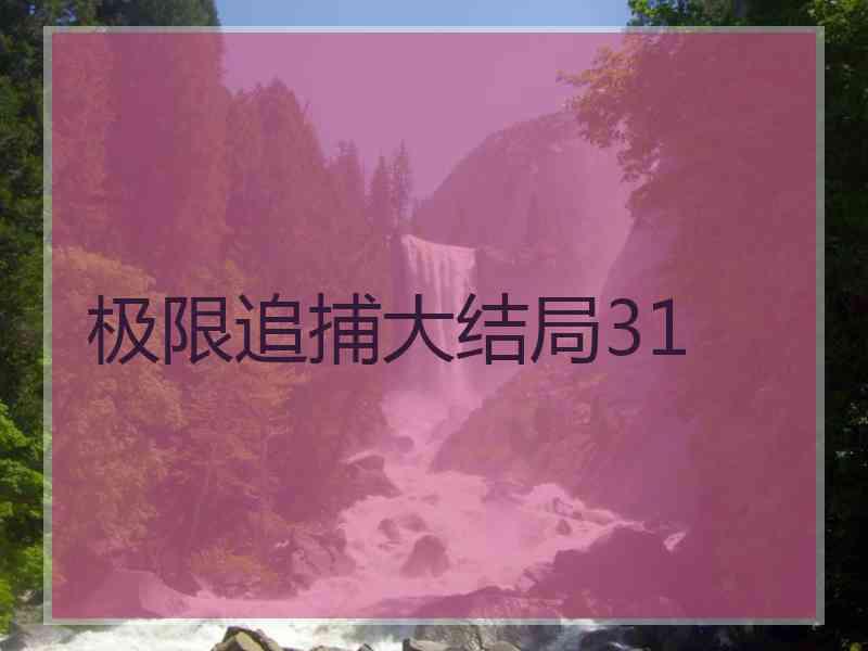 极限追捕大结局31