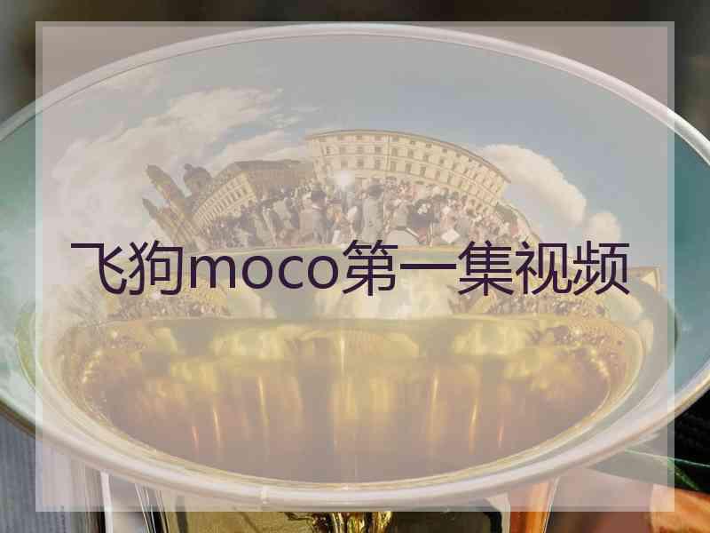 飞狗moco第一集视频