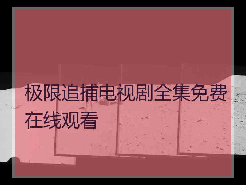 极限追捕电视剧全集免费在线观看