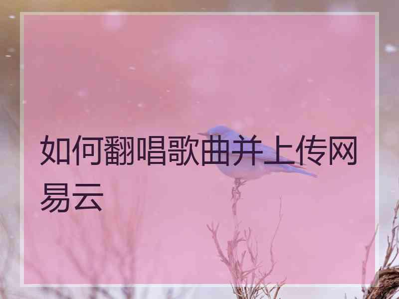 如何翻唱歌曲并上传网易云