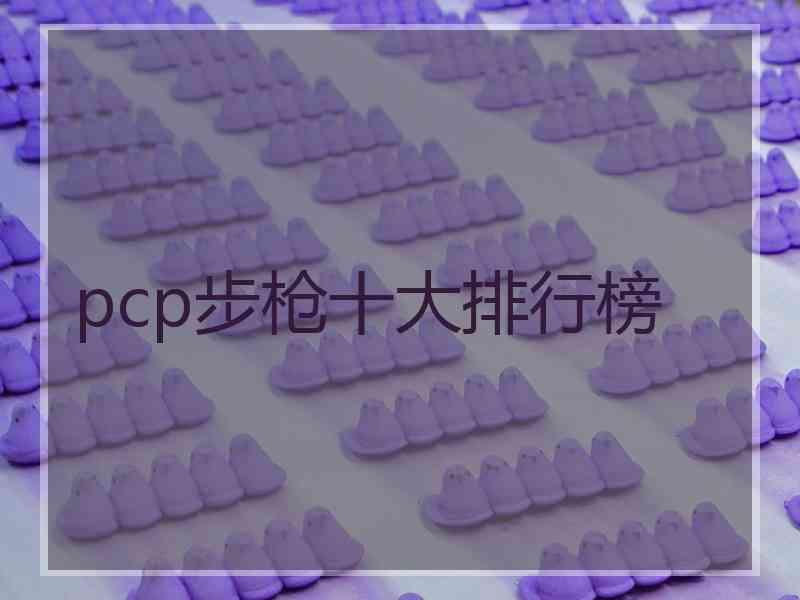 pcp步枪十大排行榜