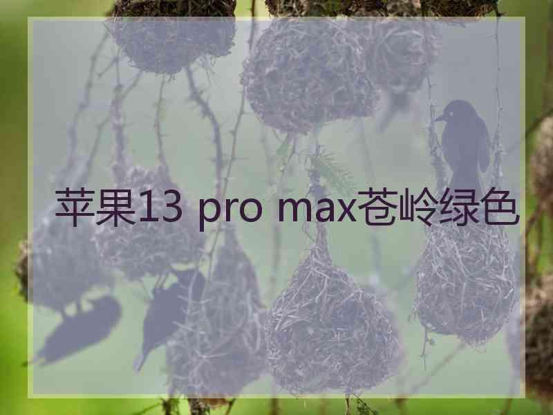 苹果13 pro max苍岭绿色