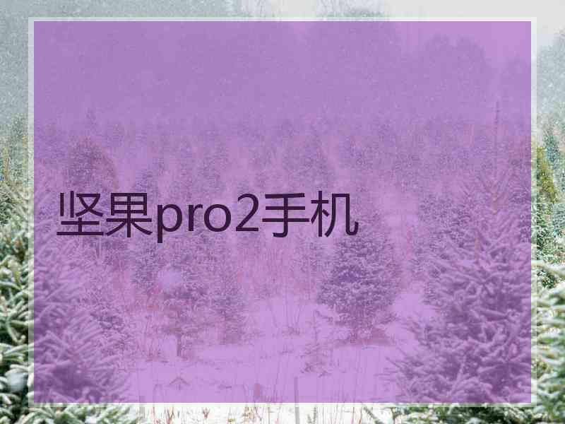 坚果pro2手机