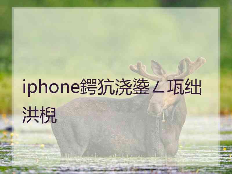 iphone鍔犺浇鍌ㄥ瓨绌洪棿