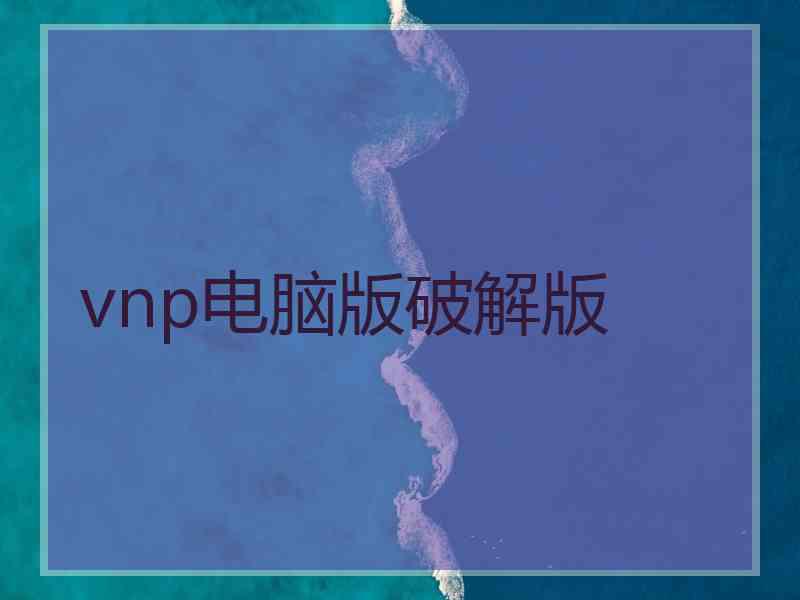 vnp电脑版破解版