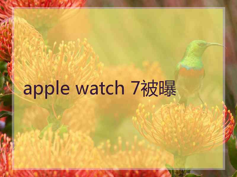 apple watch 7被曝