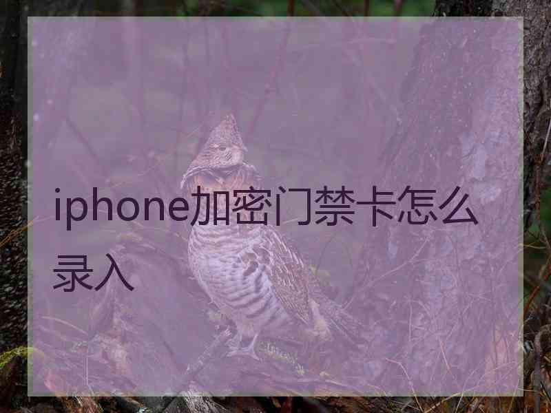 iphone加密门禁卡怎么录入