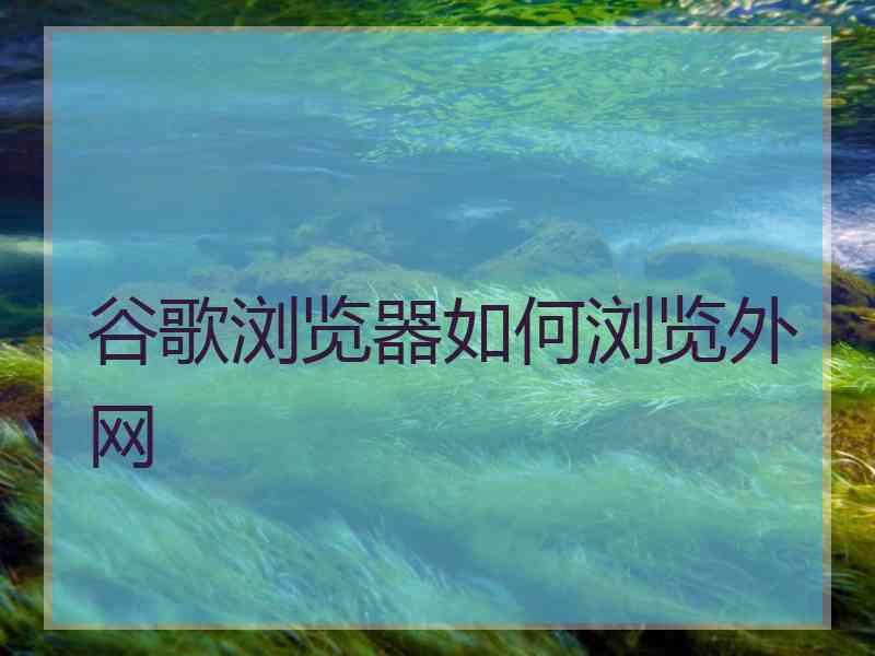 谷歌浏览器如何浏览外网