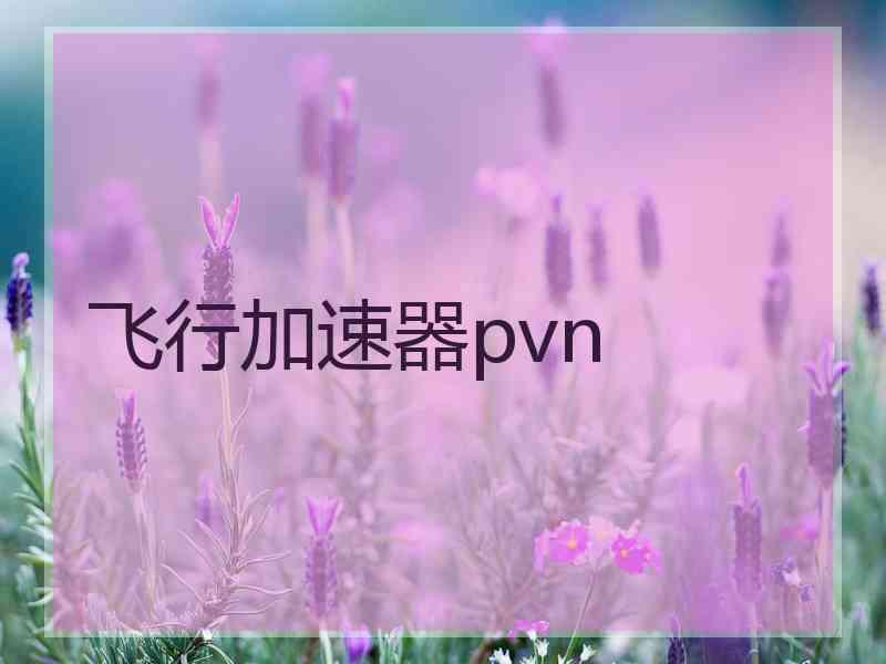 飞行加速器pvn