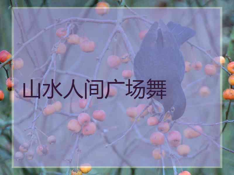 山水人间广场舞