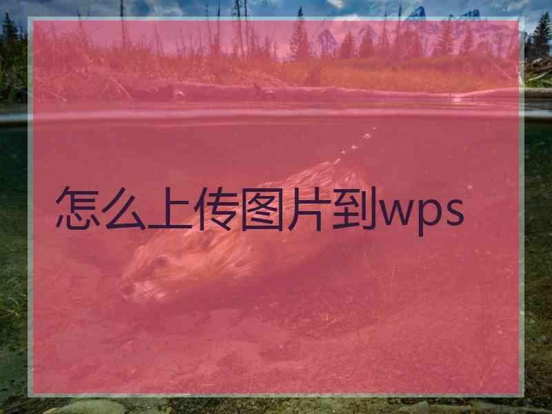 怎么上传图片到wps