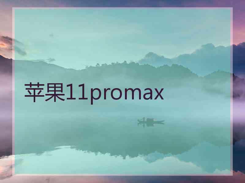 苹果11promax