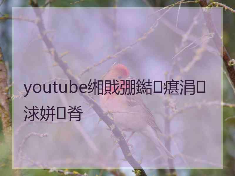 youtube缃戝弸鐑瘎涓浗姘㈠脊