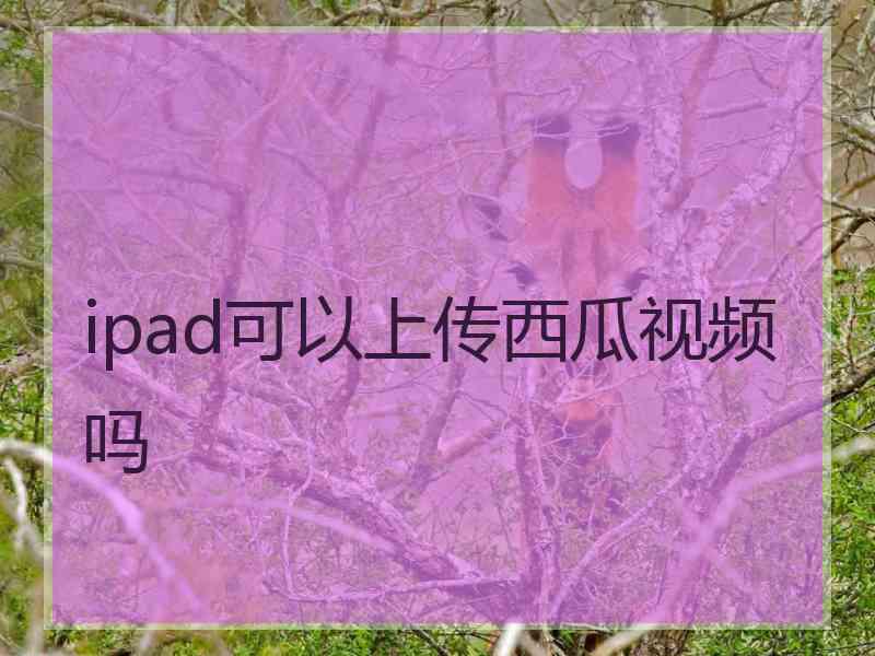 ipad可以上传西瓜视频吗