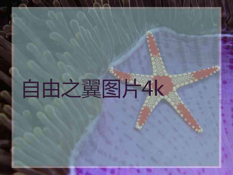 自由之翼图片4k