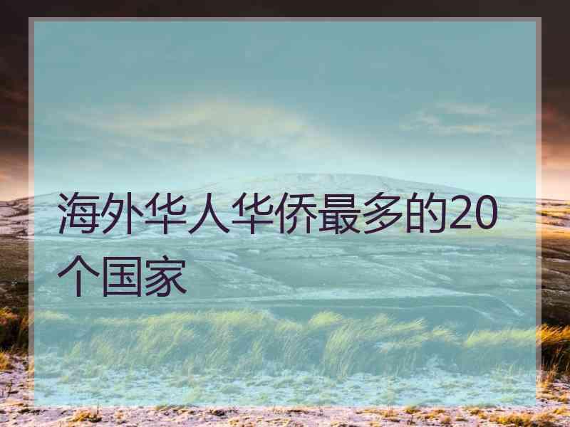 海外华人华侨最多的20个国家