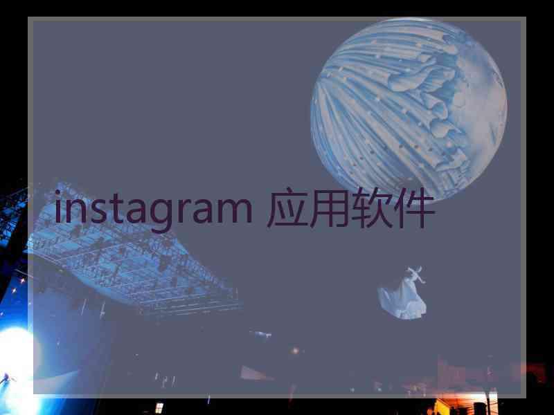 instagram 应用软件