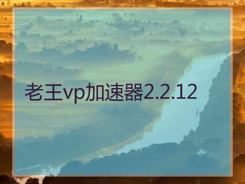 老王vp加速器2.2.12