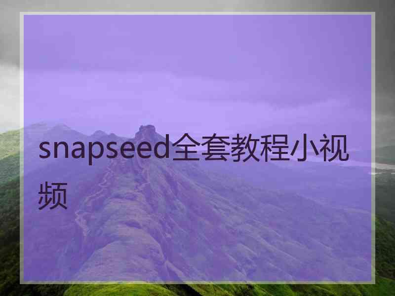 snapseed全套教程小视频