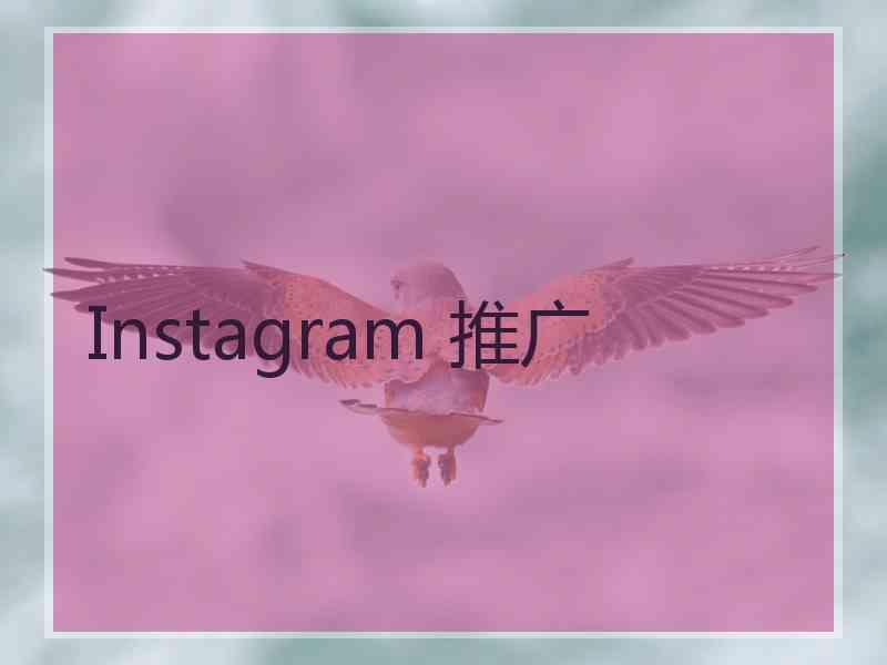 Instagram 推广