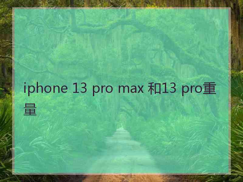 iphone 13 pro max 和13 pro重量