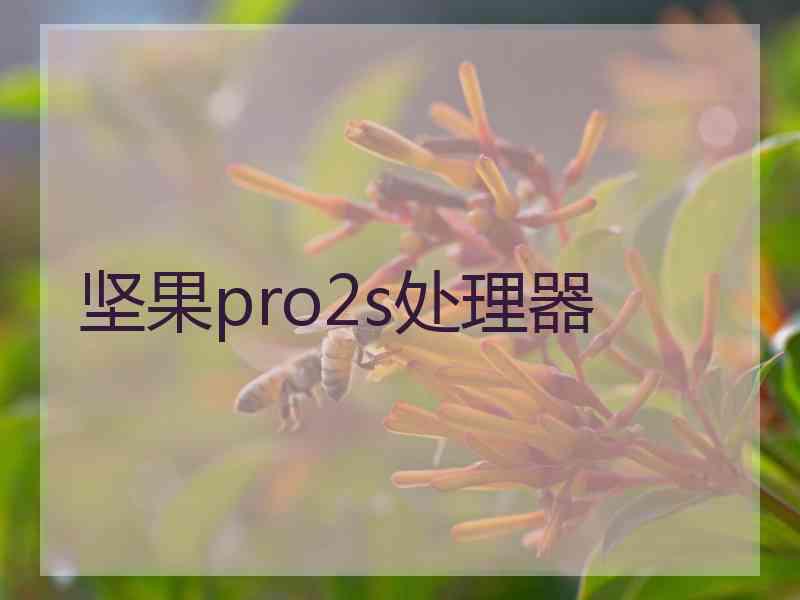 坚果pro2s处理器