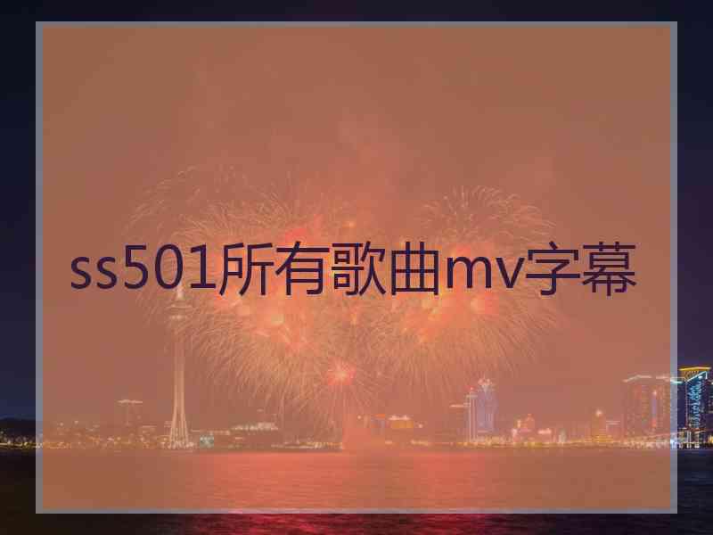 ss501所有歌曲mv字幕