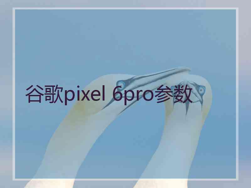 谷歌pixel 6pro参数