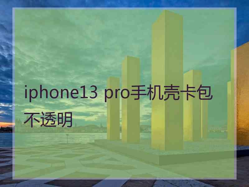 iphone13 pro手机壳卡包不透明