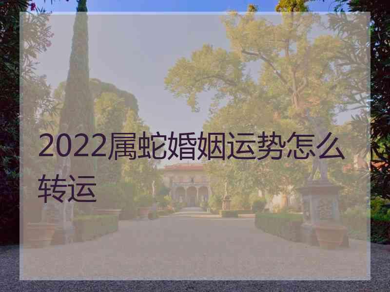 2022属蛇婚姻运势怎么转运