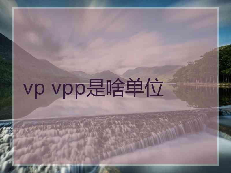 vp vpp是啥单位