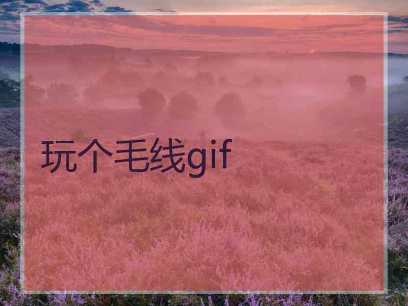 玩个毛线gif