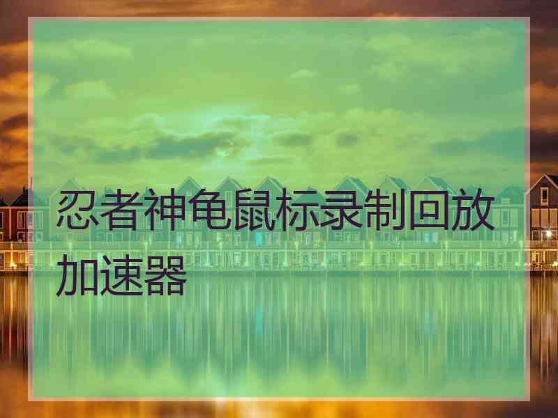 忍者神龟鼠标录制回放加速器