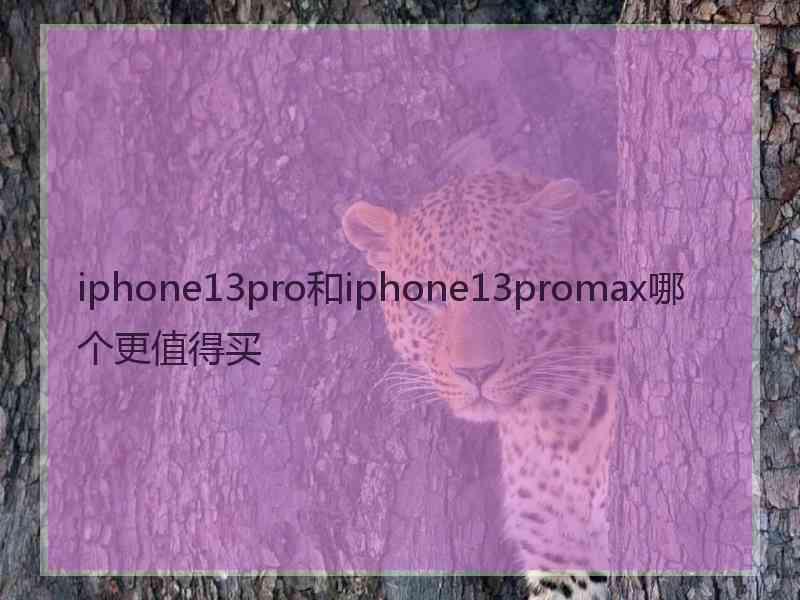 iphone13pro和iphone13promax哪个更值得买