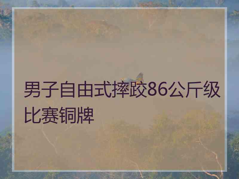 男子自由式摔跤86公斤级比赛铜牌