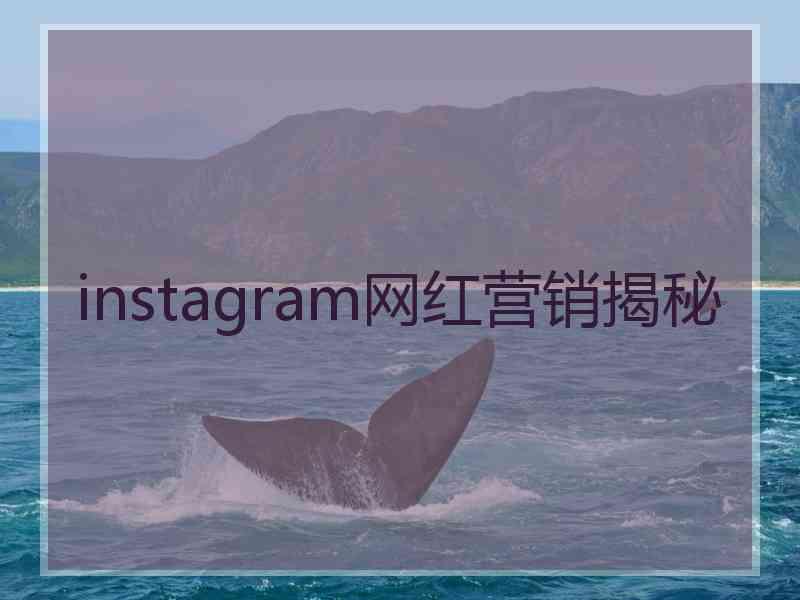 instagram网红营销揭秘