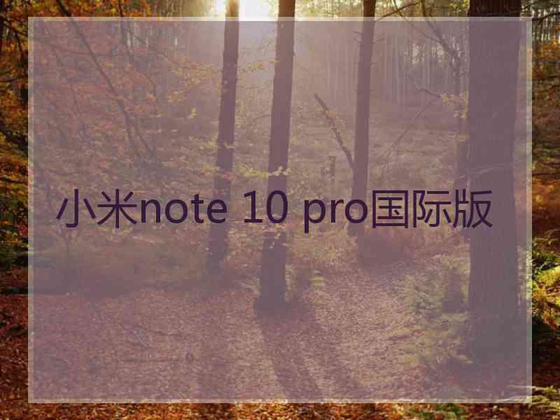 小米note 10 pro国际版