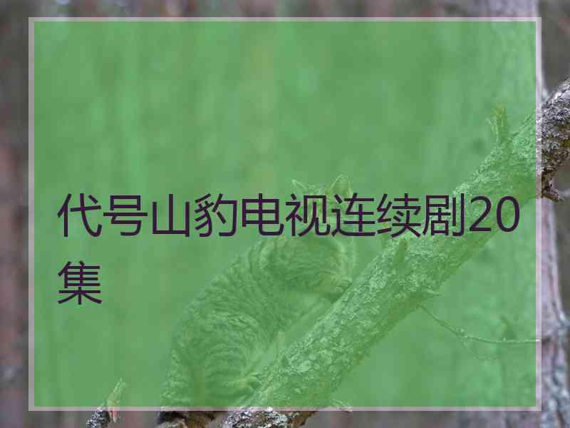 代号山豹电视连续剧20集