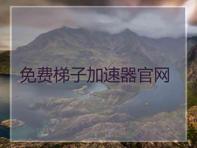 免费梯子加速器官网