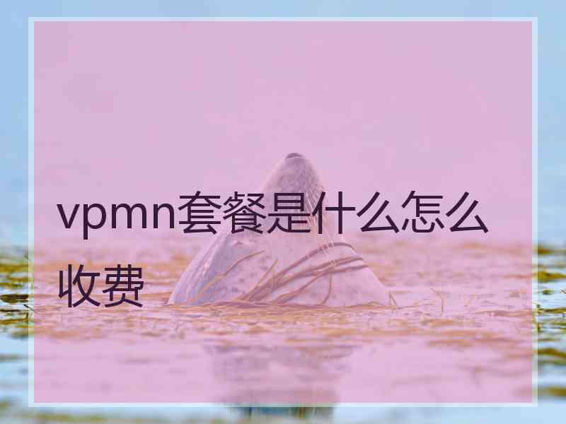 vpmn套餐是什么怎么收费